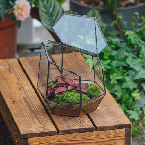 Miniatura 2 de NCYP Terrario geométrico cerrado pequeño hecho a mano de 7.5 pulgadas con puerta, maceta de vidrio irregular negro, maceta moderna para flores