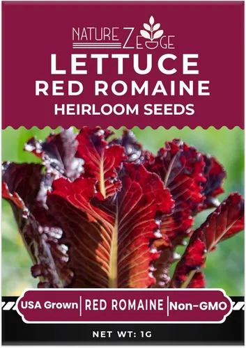 Miniatura 3 de Semillas de lechuga para plantar, lechuga romana roja, lechuga mantecosa Bibb, Simpson de semilla negra, lechuga iceberg Green Ice, sin OGM..