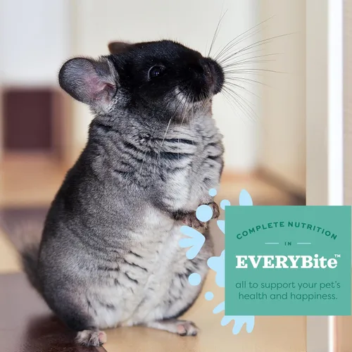 Miniatura 5 de Oxbow Essentials - Alimento de chinchilla, hecho con alfalfa de Oxbow y alimentos ricos en vitaminas y minerales para chinchillas, pellets