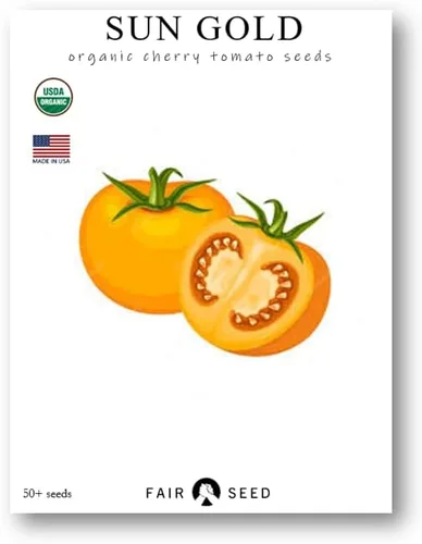 Semillas de tomate cereza orgánica Sun Gold más de 50 semillas