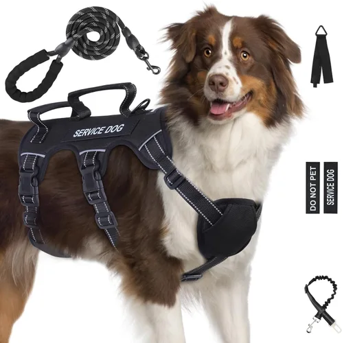 Arnés para perro a prueba de escape para perros grandes y medianos de seis puntos ajustable, juego de chaleco arnés y correa para perro de servicio,