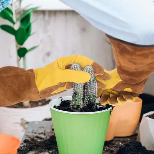 Miniatura 7 de Guantes largos de jardinería para mujeres, a prueba de espinas, guantes de cuero de vaquilla para poda de rosas, para cactus, rosas y moras