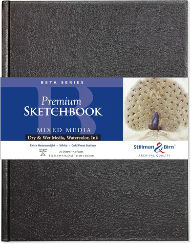 Stillman & Birn Cuaderno de bocetos de la serie Beta, A4 (8.25 x 11.75 pulgadas), 270 GSM (extra pesado), papel blanco, superficie de prensa en frío