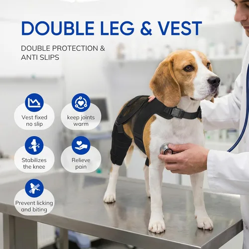 Miniatura 6 de Rodillera para perro para patas traseras desgarradas del ligamento cruzado anterior – Soporte ajustable antideslizante para piernas de perro con 4