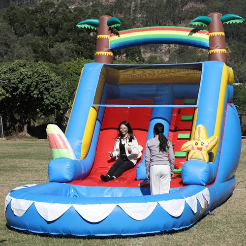 Toboganes acuáticos inflables de 21 pies de largo para adultos y niños, tobogán acuático de PVC de grado comercial para adultos con soplador UL de