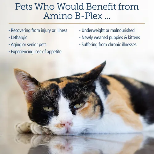 Miniatura 4 de Rx Vitamins Amino B Plex Suplemento para gatos y perros, líquido de complejo de vitamina B más aminoácidos para perros y gatos, potenciador