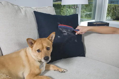Miniatura 9 de Escoba para remover el pelo de mascotas con rasqueta y mango telescópico que se extiende de 3 a 5 pies, negro y amarillo
