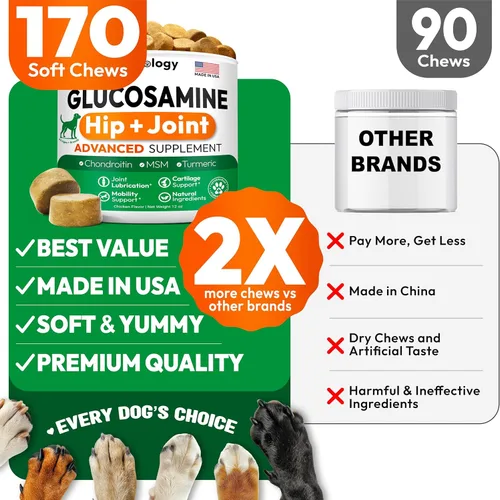 Miniatura 5 de Glucosamina para perros - Suplemento de cadera y articulaciones para perros - 170 masticables de movilidad - Glucosamina condroitina - MSM - Cúrcuma
