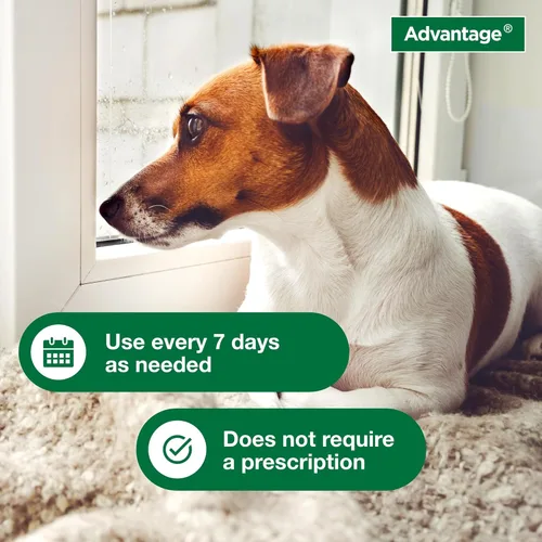 Miniatura 4 de Advantage Champú para pulgas y garrapatas para perros y perros adultos Mata pulgas y garrapatas 8 onzas