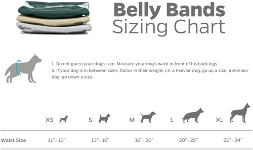 Miniatura 6 de Pet Parents® Bandas para el vientre lavables para perros machos (paquete de 3) + Extendrs® de pañales duraderos para perros machos, pañales premium