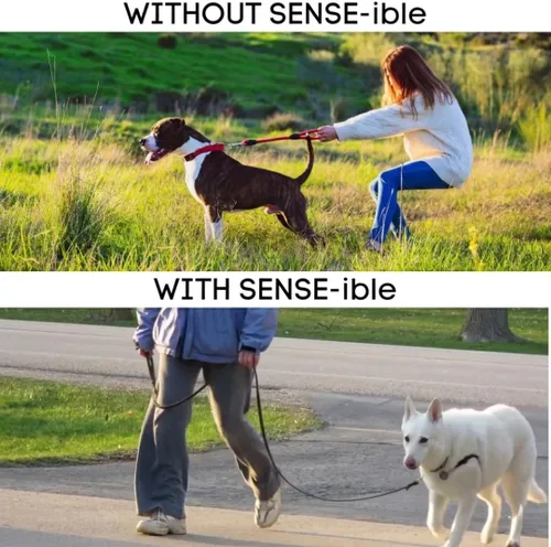 Miniatura 3 de Softouch Sense-ible Arnés para perro sin tirones (negro, extra pequeño)