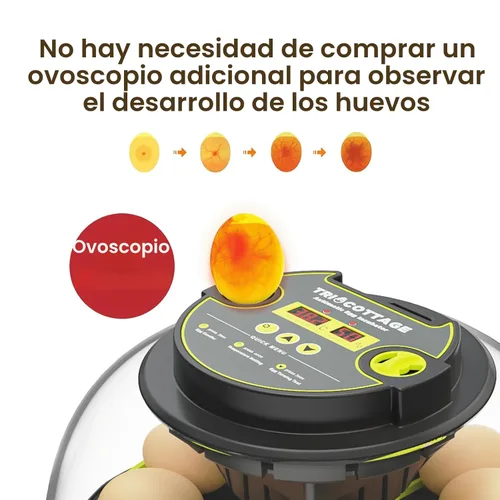 Miniatura 5 de Incubadoras para incubar huevos incubadora de 12 huevos con giro automático de huevos y control de humedad, vela de huevo, reposición automática