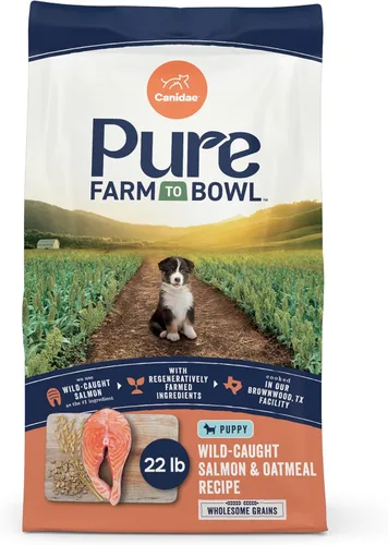 Canidae Pure - Comida seca premium para cachorros con ingredientes limitados, receta de salmón real y avena, 22 libras, con granos sanos