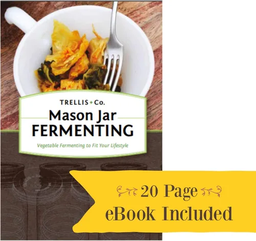 Miniatura 7 de Bobinas PickleHelix de acero inoxidable, pesas de fermentación Paquete de 3 para fermentación de tarros Mason de boca ancha La mejor manera
