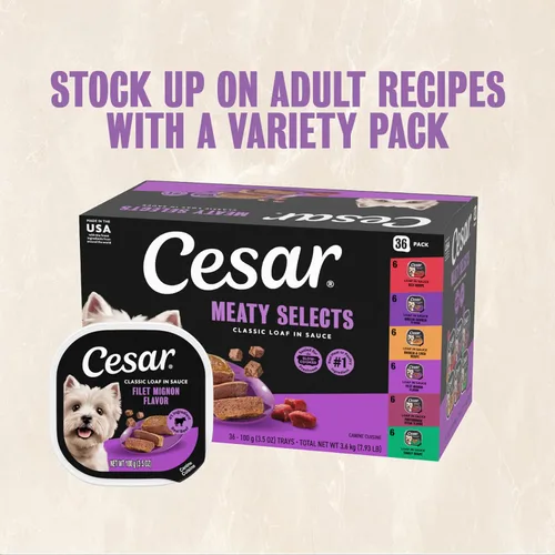 Miniatura 12 de Cesar - Comida húmeda clásica para perros en salsa sabor a filete miñón, comida húmeda para perros, bandejas fáciles de pelar de 3.5 onzas, 24