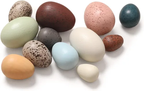 OESSUF Huevos falsos de madera, huevos de Pascua, huevos de juego para niños pequeños, decoración de huevos de madera para jugar, cocina, huevos