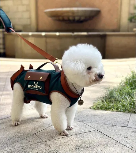 Miniatura 3 de Wakytu Arnés de elevación para perro, arnés VES ajustable para perro, correa ajustable para perro con bolsa pequeña para golosinas para cachorros