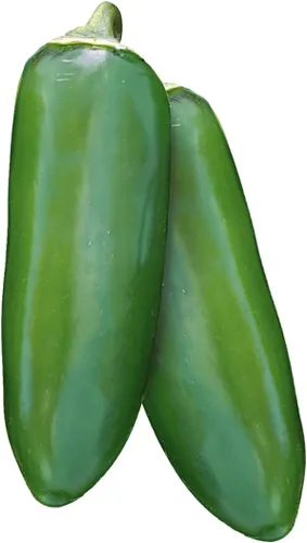 Miniatura 9 de Burpee Semillas de Pimiento Picante Griego Orgánico Pepperoncini 300 No-GMO para Plantar Jardín Casero Pimientos Amarillo Claro Ligeramente