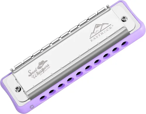 Miniatura 9 de EASTROCK Armónica profesional de 10 agujeros totalmente metálica diatónica, órgano de boca para adultos, clave de C para principiantes y estudiantes
