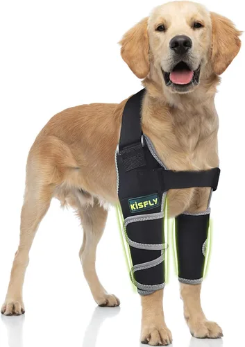 Miniatura 22 de Arnés para perros medianos, arnés de apoyo para la pierna trasera para asistencia de movilidad, ayuda a apoyar perros con problemas