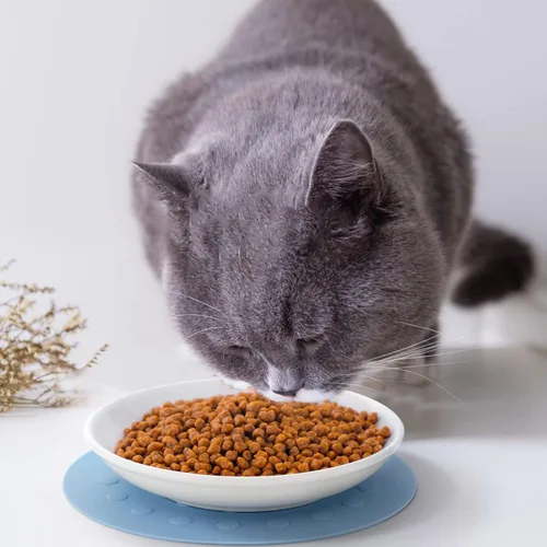 Miniatura 2 de Platos de cerámica para alimentos húmedos, cuencos anchos para aliviar el estrés de la fatiga de los bigotes, cuencos poco profundos para gatitos