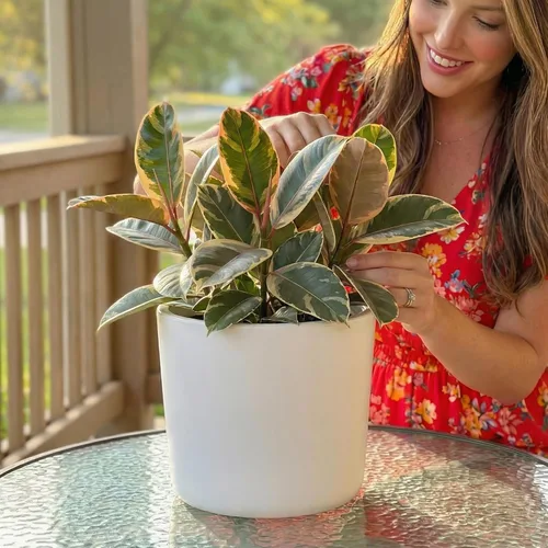Miniatura 6 de Willowy Maceta de Cerámica Negra de 6 Pulgadas - Macetas de Cerámica Negra de 6 Pulgadas para Plantas como Aloe, Planta de Goma Bebé, Jade, Planta