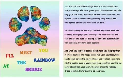 Miniatura 3 de Pulsera de cuentas de lava con diseño de puente arcoíris para mascotas, regalo conmemorativo para perros y gatos, lino