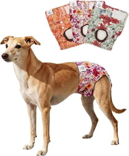 Miniatura 24 de CuteBone D36L - Pañales para perras, paquete de 3 unidades, tamaño L, D36L