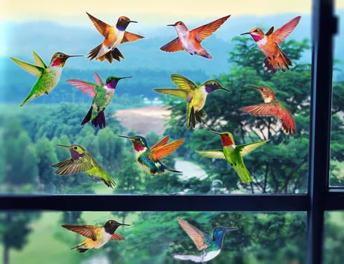 Miniatura 4 de Calcomanías anticolisión para ventana de alerta de pájaros, para evitar golpes de pájaros en el cristal de la ventana, juego de 12 colibríes