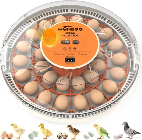 Incubadora para incubar huevos, incubadora de 30 huevos con giro automático de huevos, control de temperatura y pantalla de humedad, vela LED para