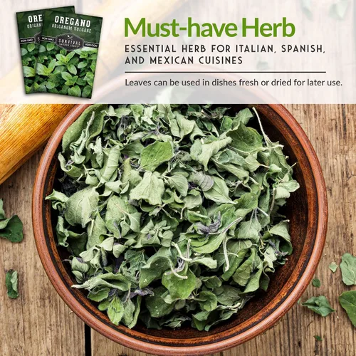 Miniatura 5 de Semillas de orégano para plantar – Hierba culinaria Origanum Vulgare para platos italianos – Cultiva en interiores o exteriores para un sabor fresco
