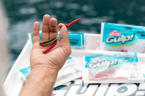 Miniatura 5 de Berkley Gulp! Gusano de arena de agua salada de 2 pulgadas, sangriento, 2 pulgadas, 24