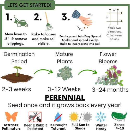Miniatura 7 de Flawn Seed Kits Semilla de trébol tricolor, mezcla igual de trébol rojo carmesí, trébol rojo medio, trébol blanco holandés, bolsa con cremallera