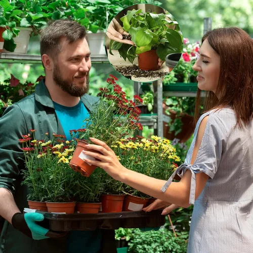 Miniatura 5 de Plantas de plástico de 6 pulgadas, macetas de inicio de semillas, macetas de siembra, macetas de plántulas, contenedor para plantas de flores