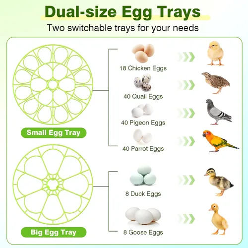 Miniatura 6 de 18 incubadoras de huevos para incubar huevos, incubadora de huevos con control de temperatura, pantalla de humedad, girador automático de huevos