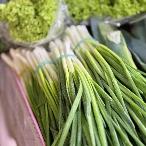 Miniatura 5 de Semillas de cebolla orgánicas (brotes de hoja perenne) – Aproximadamente 200 semillas – USDA orgánico, sin OMG, polinizado abierto, reliquia, origen