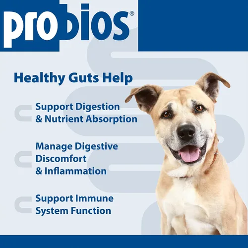 Miniatura 3 de Probios Masticables de apoyo digestivo para perros, suplemento probiótico diario para la salud intestinal, la digestión y el apoyo inmunológico, 1