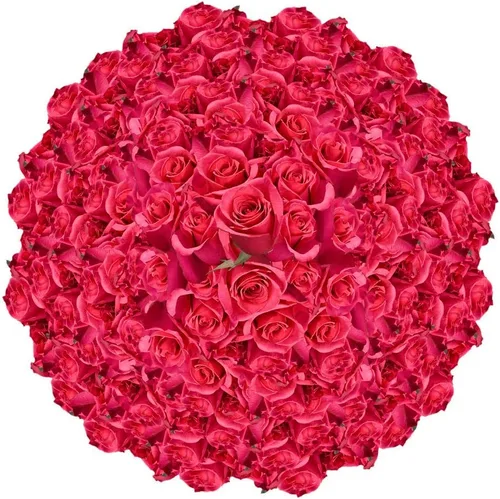Miniatura 14 de GlobalRose Ramo de 50 rosas surtidas, rosas de origen responsable, flores frescas, ramo fresco de flores seleccionadas a mano para el día