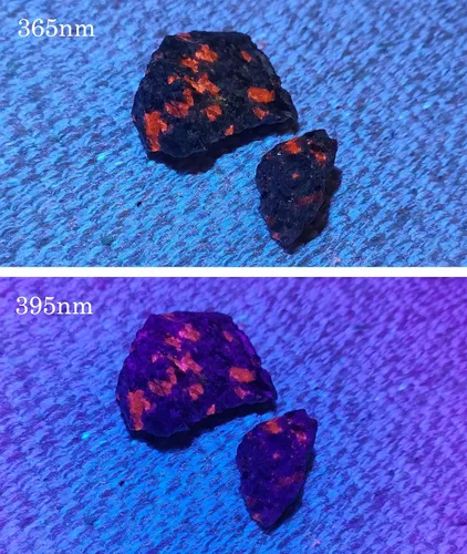 Miniatura 6 de Linterna UV de Luz Negra - 365nm 395nm Linternas Ultravioleta, Antorcha de Luz Negra Portátil Lámpara Woods para Detección de Manchas de Orina