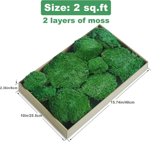 Miniatura 2 de TurelinnG Decoración de musgo preservado, musgo de bosque real, musgo para manualidades, flexible para manualidades, hogar, pared, terrario