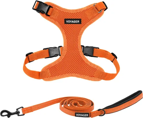 Miniatura 31 de Best Pet Supplies Voyager Step-in Lock - Arnés para mascotas con correa reflectante para mascotas, con mango de neopreno de 5 pies, soporta