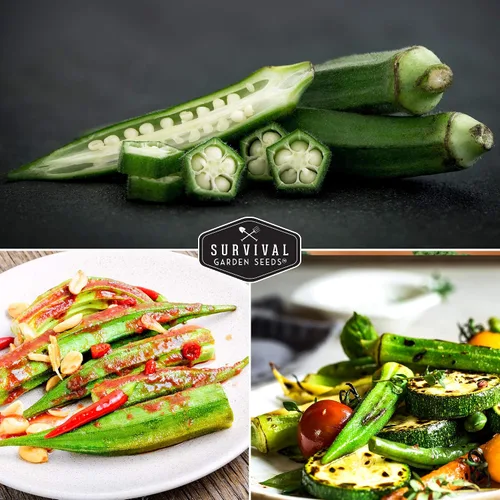 Miniatura 5 de Survival Garden Seeds - Semilla de okra esmeralda para plantar - Paquete con instrucciones para plantar y cultivar Okra tierna y grande en tu huerto