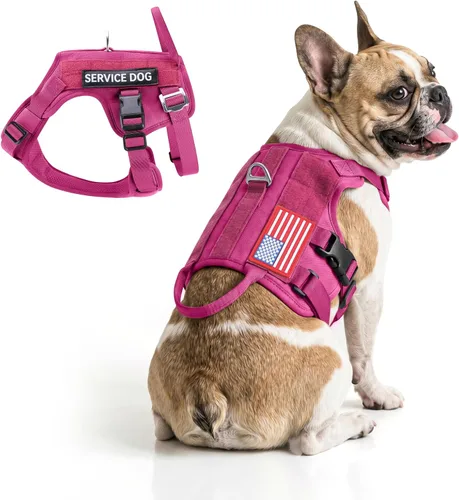Miniatura 10 de FAYOGOO - Arnés táctico para perros grandes - Arnés de perro resistente a fugas con asa - Chaleco de perro de servicio militar sin tirones con Marrón