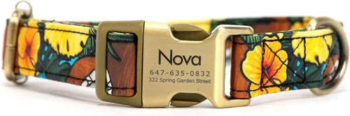 Miniatura 19 de Collar de perro personalizado con nombre y número de teléfono grabado, collar ajustable personalizado para cachorros, collar de algodón orgánico