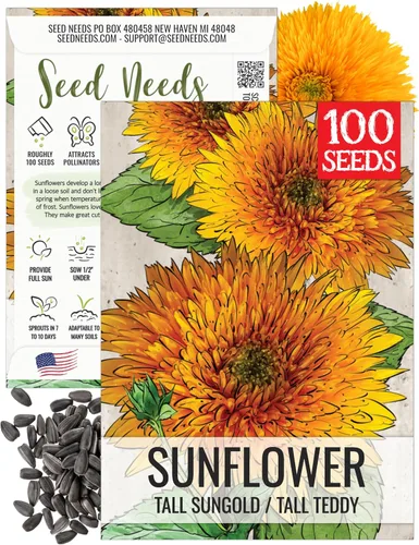Seed Needs, Tall Teddy - Semillas de girasol – 100 semillas de reliquia para plantar Helianthus annuus – Flores de doble pétalo, atrae polinizadores