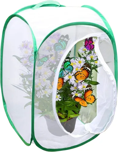 SunGrow Hábitat plegable de mariposa, jaula de mariposa de 24 pulgadas para orugas, granja de creación, recinto para la cría de moscas soldadas,