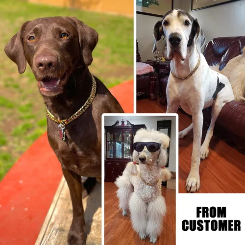 Miniatura 6 de Collar de perro de cadena de oro de 0.630 in, collar de perro de eslabones cubanos de oro de 18 quilates con hebilla de cierre seguro, cadena dorada
