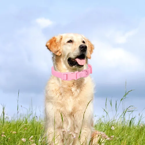 Miniatura 2 de Collar de perro impermeable de goma suave con hebilla de seguridad, collares ajustables para mascotas para perros pequeños, medianos y grandes Rosa