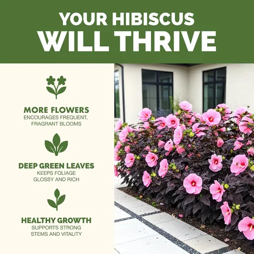 Miniatura 2 de Fertilizante de hibisco: alimento líquido para plantas para más flores, color vibrante y crecimiento tropical saludable, 8 onzas