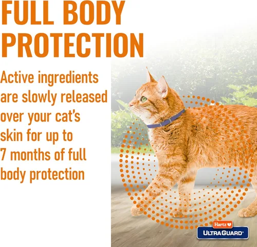 Miniatura 4 de Collar anti pulgas y garrapatas Hartz UltraGuard para gatos y gatitos, 7 meses de protección y prevención contra pulgas y garrapatas, blanco